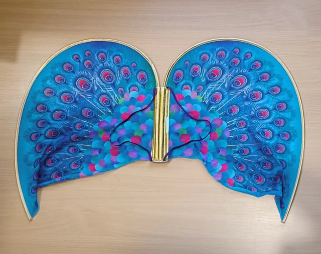 Disfraz Pavo Real Infantil con Accesorios