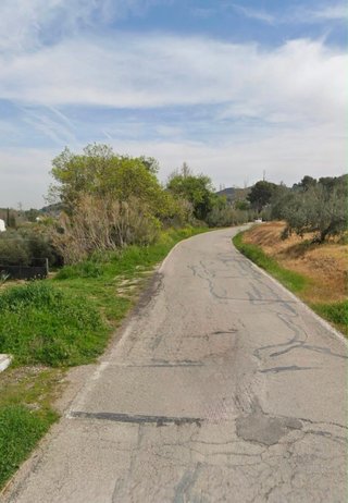 CAMPO CON  CASA Y OLIVAS DE RIEGO  EN PTE  JONTOYA
