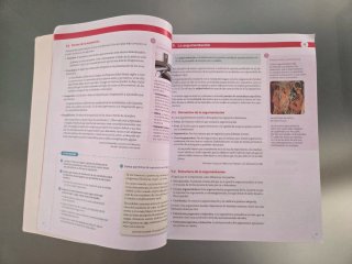 Lengua castellana y literatura 1 Bachillerato