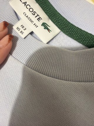 Chándal Oficial Lacoste