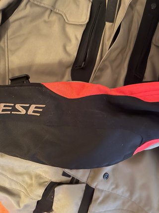 Dainese Alligator Tex Jaqueta