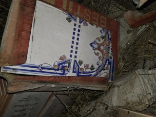 Azulejos blancos con borde azul