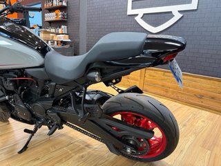 Harley Davidson Pan America ST 1250
