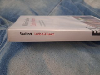 L'urlo e il furore