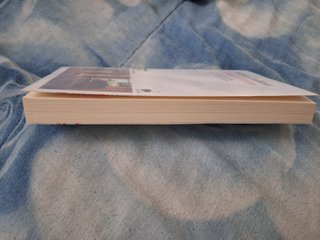 L'urlo e il furore