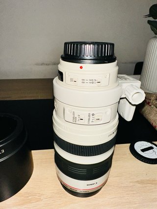 Canon EF 100-400mm f/4.5-5.6L IS USM