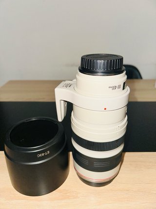 Canon EF 100-400mm f/4.5-5.6L IS USM