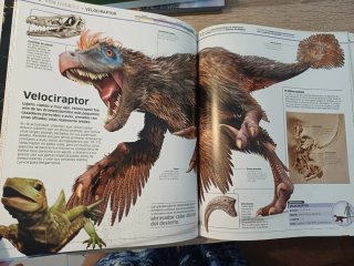 Libro dinosaurios