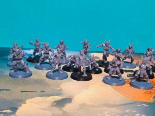 Amazonas Blood Bowl Miniaturas