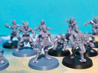 Amazonas Blood Bowl Miniaturas