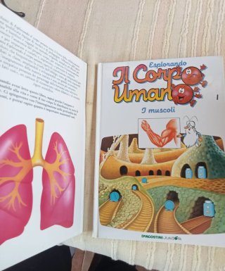 Il corpo umano libri x raccolta non completo