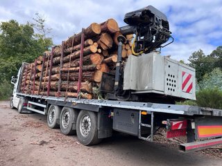 Plataforma Forestal