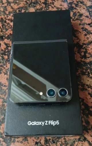 Samsung Galaxy Z Flip5 gris