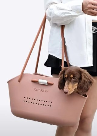 Bolso para mascotas Bone Puppy rosa Material EVA