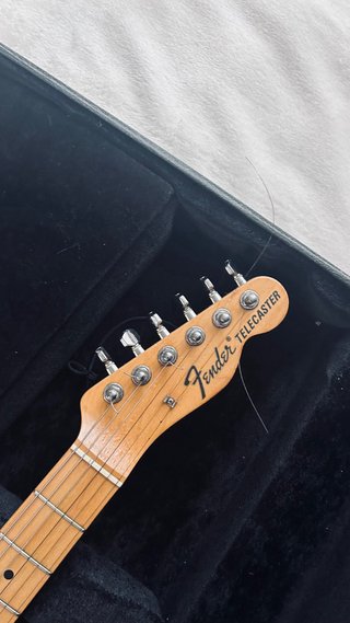Fender Telecaster thinline firmada x Ariel Roc