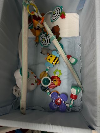 Lote bebé: Moisés + accesorios Tiny Love