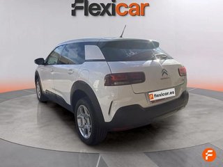 Citroën C4 Cactus BlueHDi 100 S&S Feel