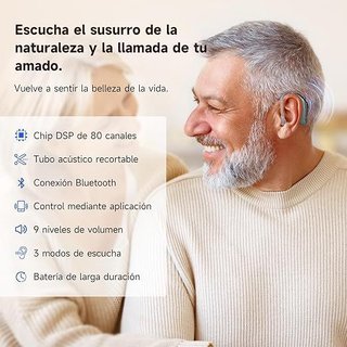 Britzgo 209D 1xAudífono control volumen USB-C Gris