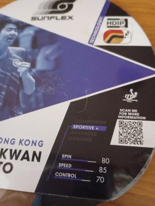 Pala Ping Pong Sunflex Yiu Kwan Team HK