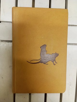 Libro las Ratas de Miguel Delibes