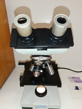 Microscopio Trinocular ANTARES con caja de madera