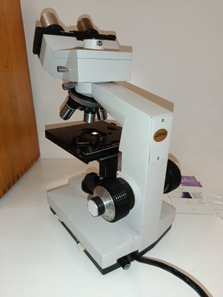 Microscopio Trinocular ANTARES con caja de madera