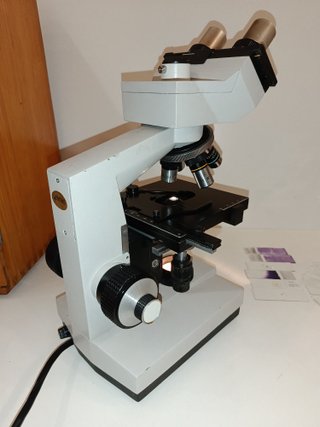 Microscopio Trinocular ANTARES con caja de madera