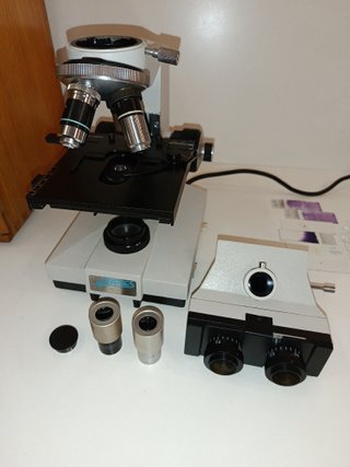 Microscopio Trinocular ANTARES con caja de madera
