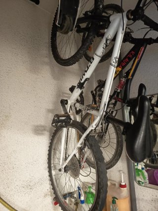 Bicicleta
