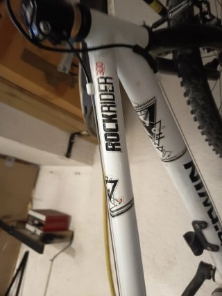 Bicicleta