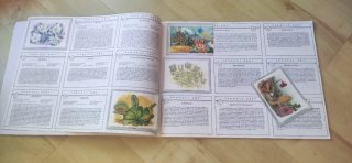 Álbum de cromos Vida y Color - Plancha.