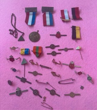 Lote insignias y distintivos