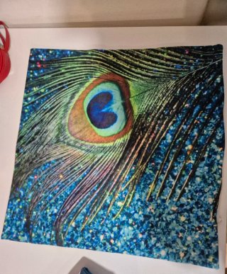 Funda de cojines con diseño de pavo real