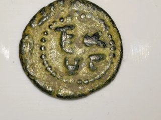 Felus Omeya Al Andalus ESCASA Frochoso