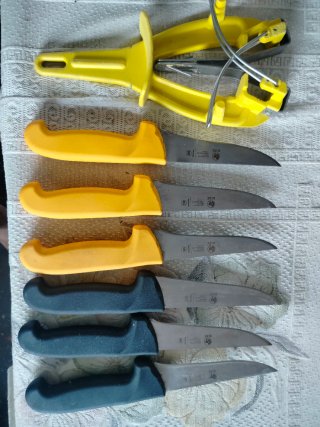 Set de 6 cuchillos afilados