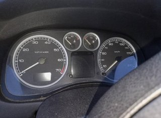 Capot peugeot 307 (s1)(04.2001) 249748