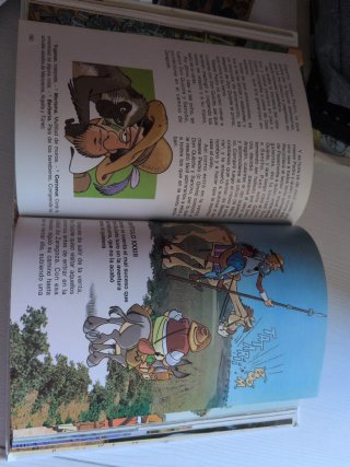 Don Quijote de la Mancha