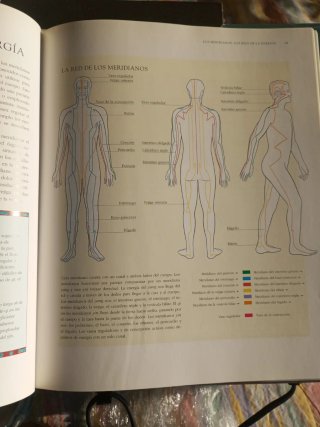 Energía un nuevo camino hacia la salud y la vit...