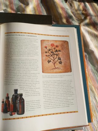 Energía un nuevo camino hacia la salud y la vit...