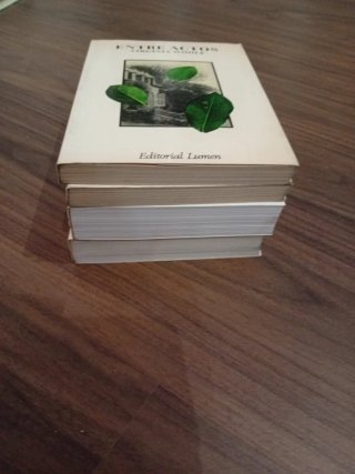 Lote libros 1 edición Virginia Woolf. Lumen