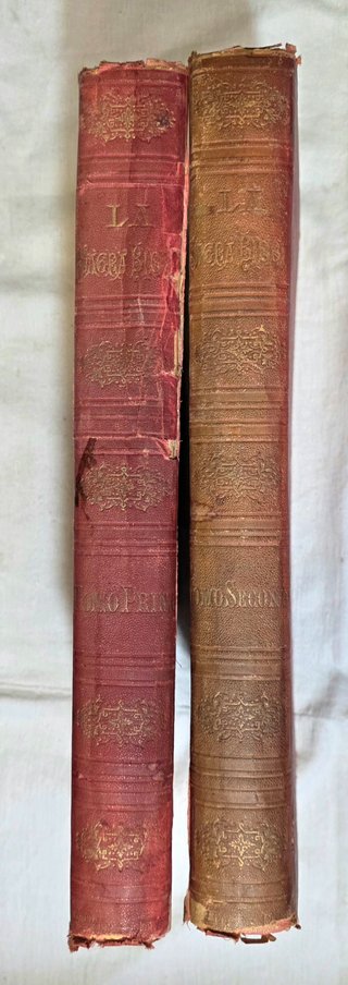 LA SACRA BIBBIA Gustave Doré Treves 1881/85 2 Vol