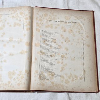 LA SACRA BIBBIA Gustave Doré Treves 1881/85 2 Vol