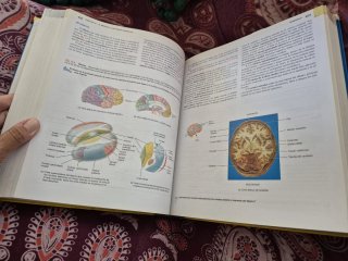 Principios de anatomia y fisiología