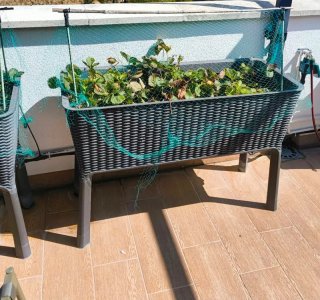 Huerto Urbano Keter Easy Grow
