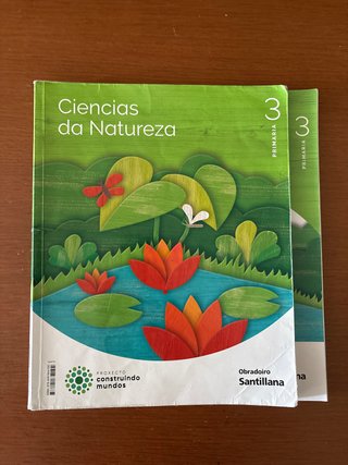 CIENCIAS DA NATUREZA 3 PRIMARIA CONSTRUINDO MUNDOS