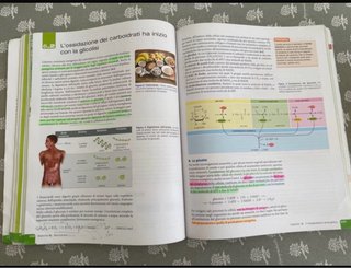 Libro scolastico