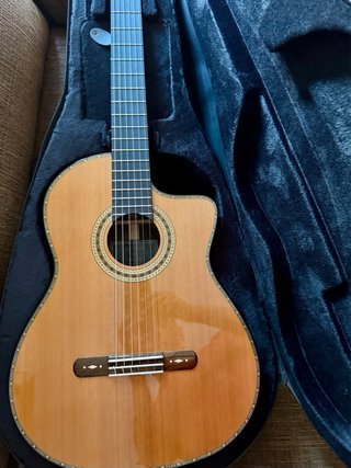 Guitarra AAT-15CE CUT + Fishman + Funda