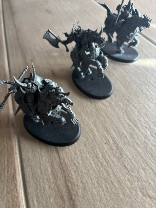 Varanguard Age of Sigmar