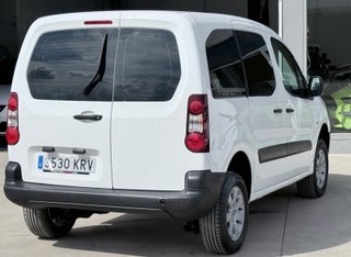 Peugeot Partner Peugeot Partner 4x4 Dangel Standard 600kg BlueHDi 96kW