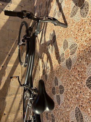 Bicicleta Mujer Urbana